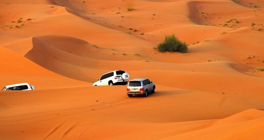 Desert Safari Dubai Morning: Timings, Activities and Booking Tips